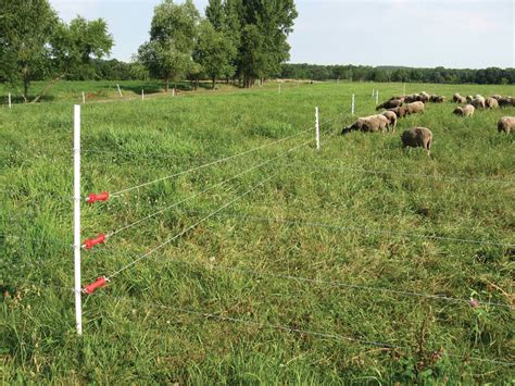 livestock electric fence system